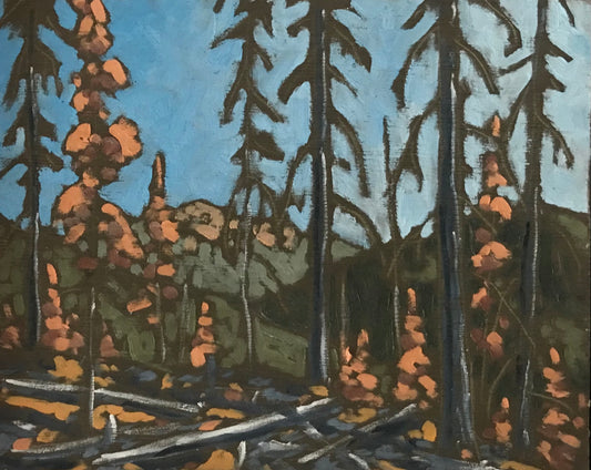 "Burnt Forest, Antler Creek Fire" (2024)