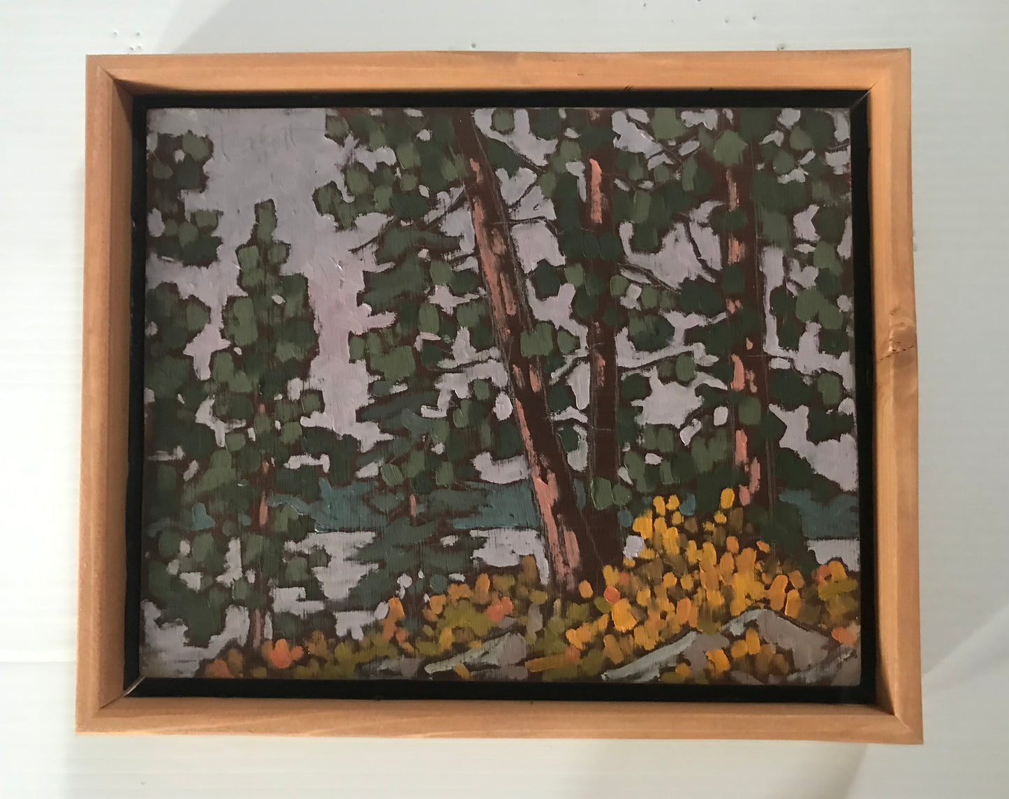 "Ponderosa Pine, Okanagan, Fall" (2024)