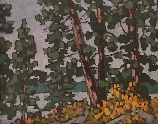 "Ponderosa Pine, Okanagan, Fall" (2024)