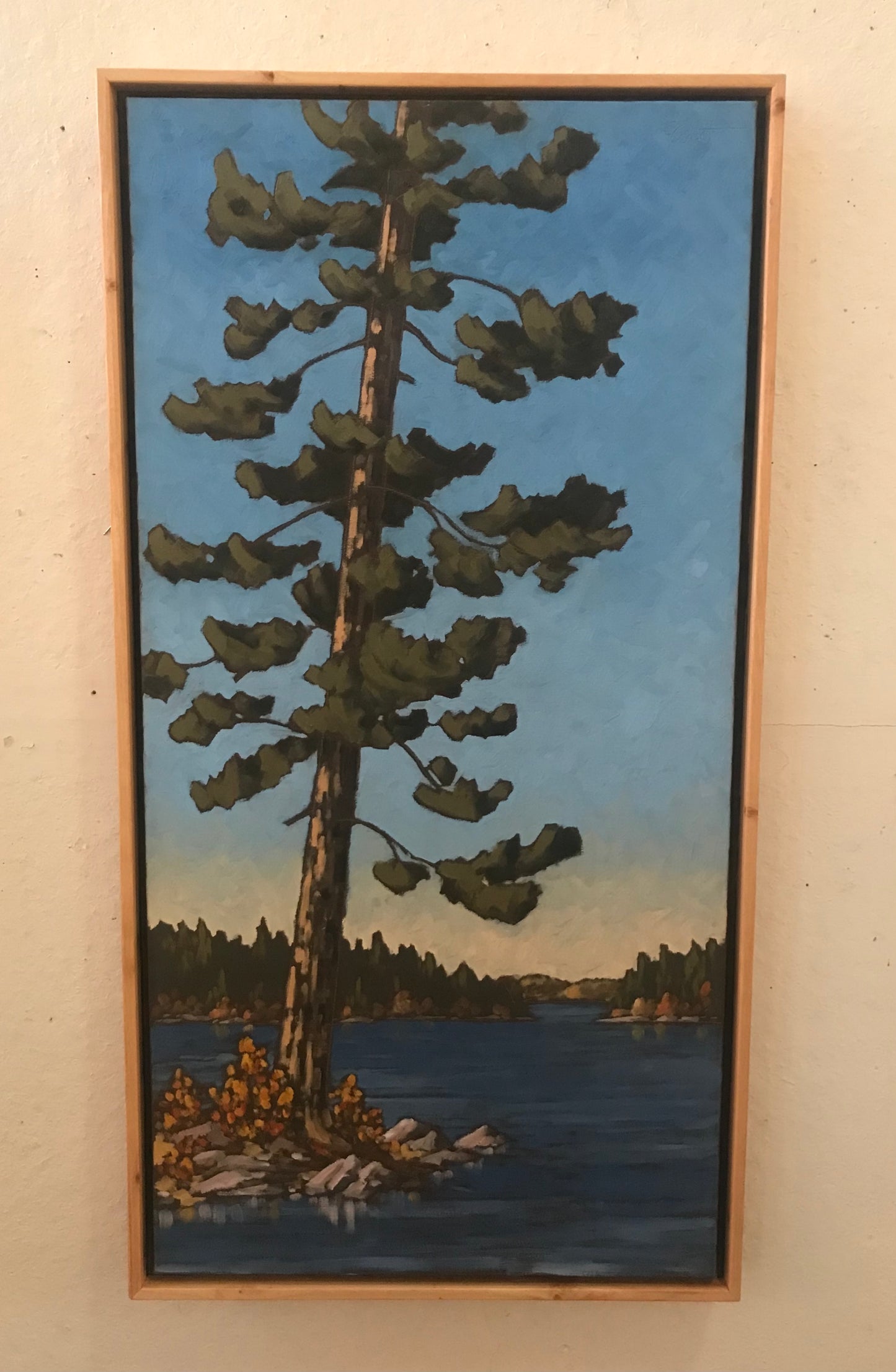 "Old Pine, Long Bay, Lake of the Woods" (2024)